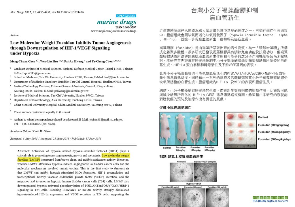 Fucoidan:褐藻醣膠 金門美兆診所 Fucoidan:褐藻醣膠 金門美兆診所