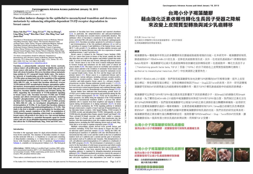 Fucoidan:褐藻醣膠 金門美兆診所 Fucoidan:褐藻醣膠 金門美兆診所