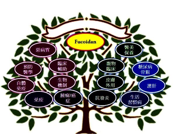 Fucoidan:褐藻醣膠 金門美兆診所